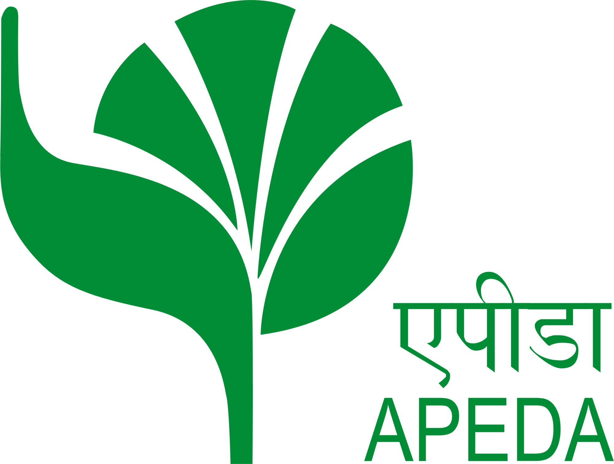 APEDA Certified